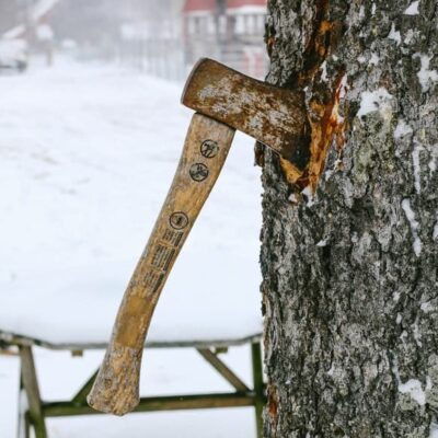 Pruning a tree with hand tools