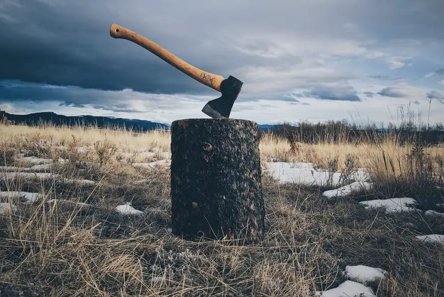 Axe vs Machete: Cutting Comparison 2 Camping axe in a wood block