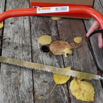 How to Use a Bow Saw? The Best Pruning Tool 3 bow saw