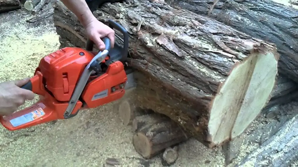Cutting Black Locust Firewood