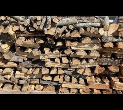 beech firewood