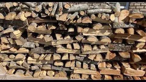 beech firewood