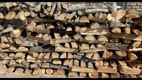Is Beech Firewood Any Good for Burning? 1 beech firewood