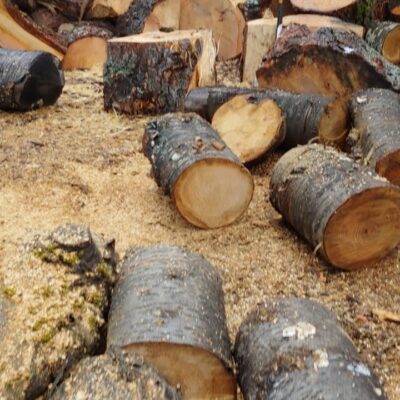 Is Cherry Firewood Any Good for Burning? 4 cherry firewood