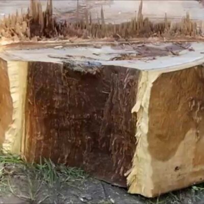 eucalyptus firewood