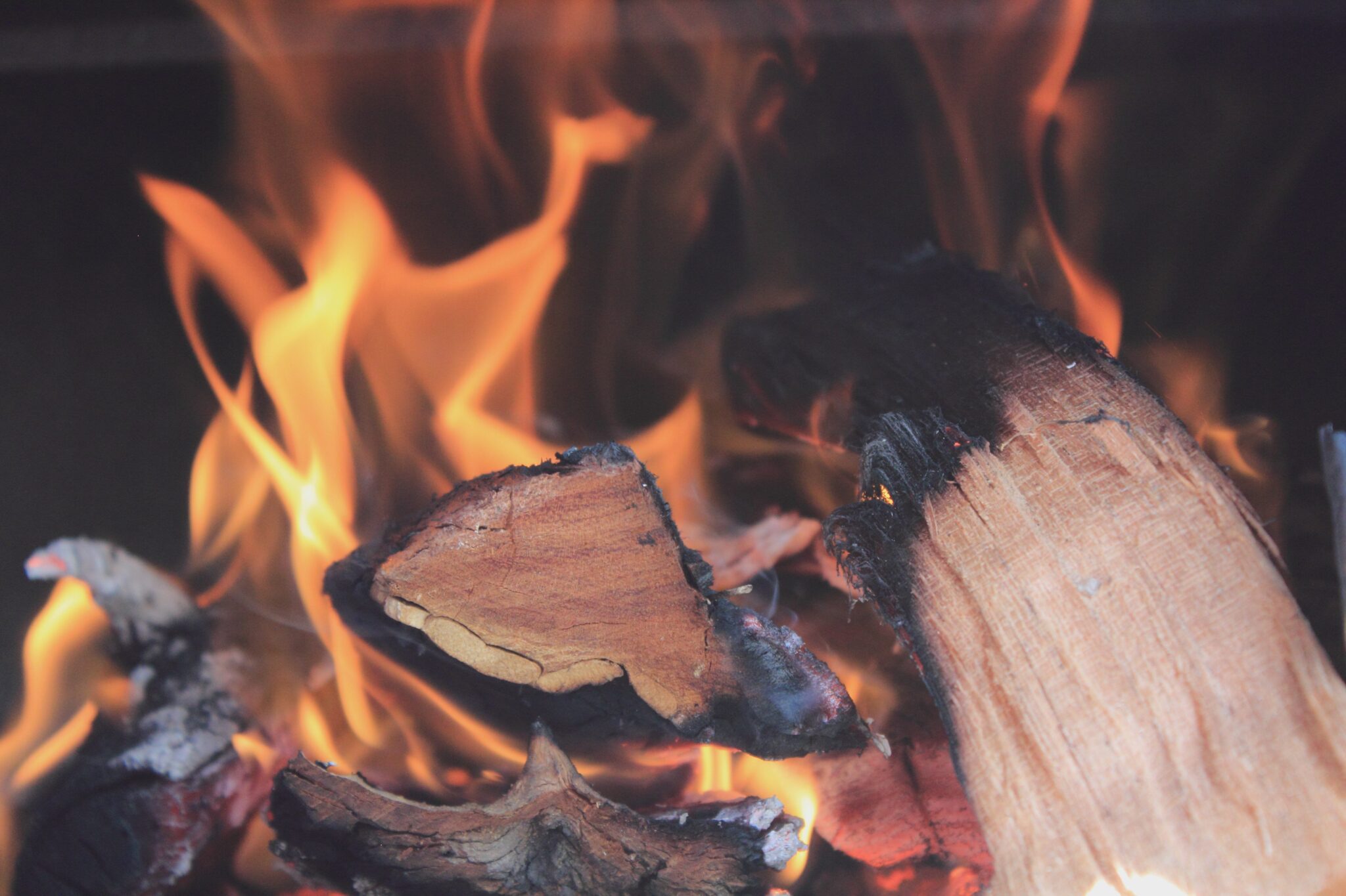 10 Best Smelling Firewoods to Burn [Ranked] Awesome Axes