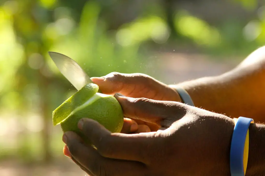 a bushcraft knife peeling fruit