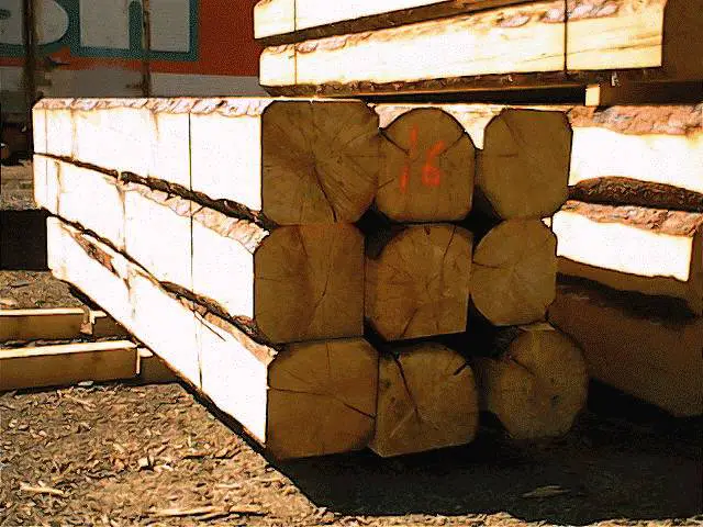 What Is a Cant Hook and What is it Used For? 2 cant logs