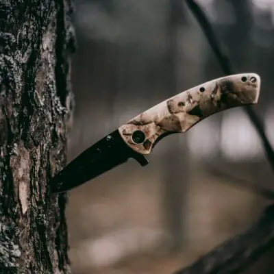 how to fell a tree with a knife