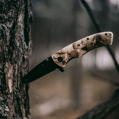 How to Fell a Tree with a Knife 2 how to fell a tree with a knife