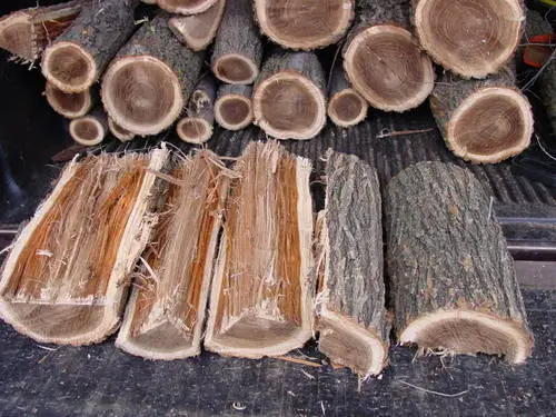 maple firewood