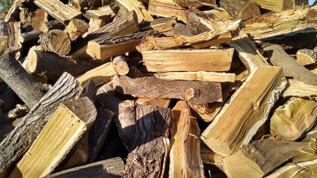Mulberry Firewood