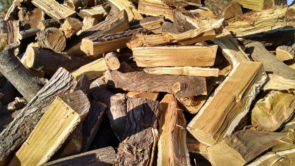 Is Mulberry Firewood Any Good for Burning? 1 Mulberry Firewood