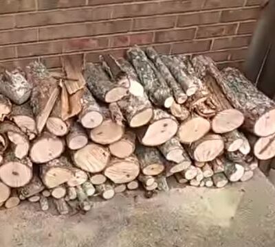 stacked pecan firewood