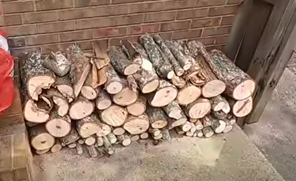stacked pecan firewood
