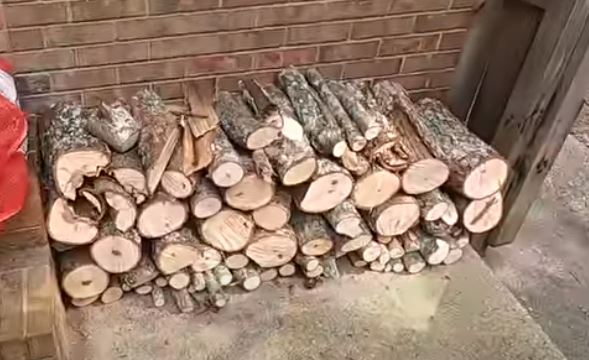 stacked pecan firewood