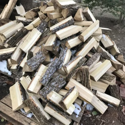 poplar firewood