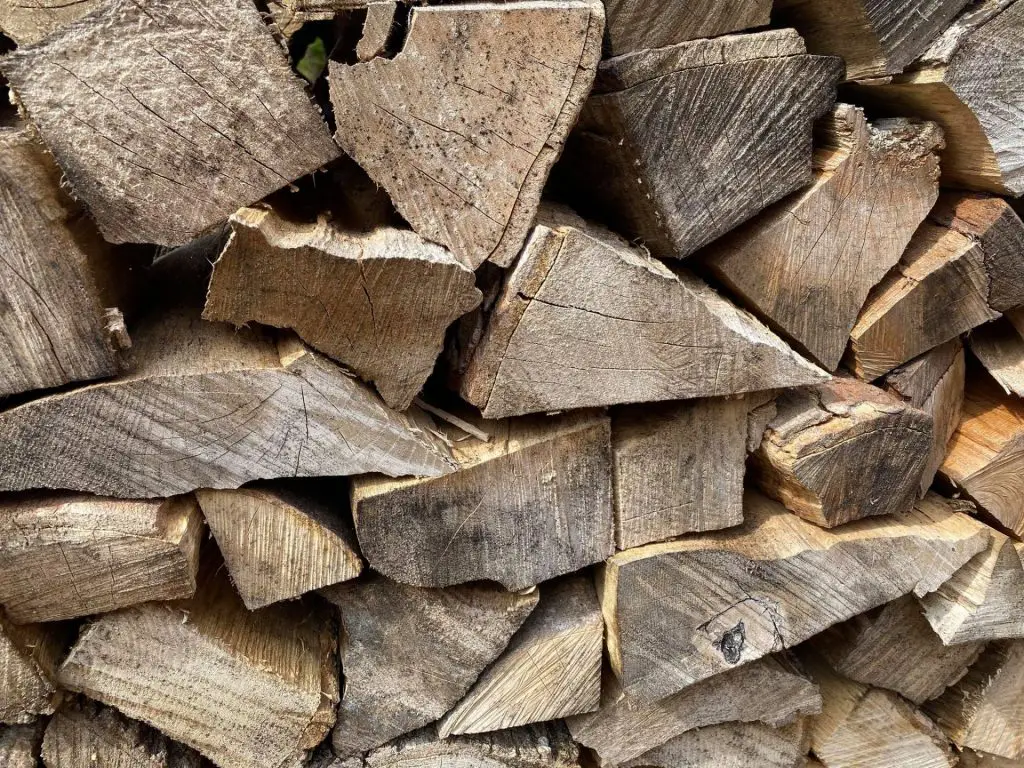 Seasoned ash firewood
