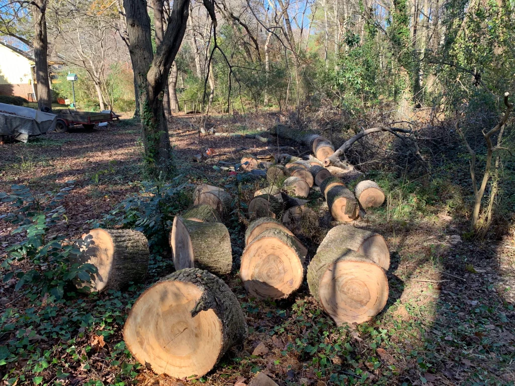 Sweet Gum Firewood