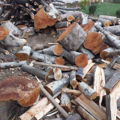 sycamore firewood