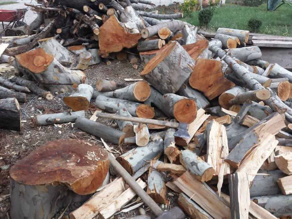 Sycamore Firewood
