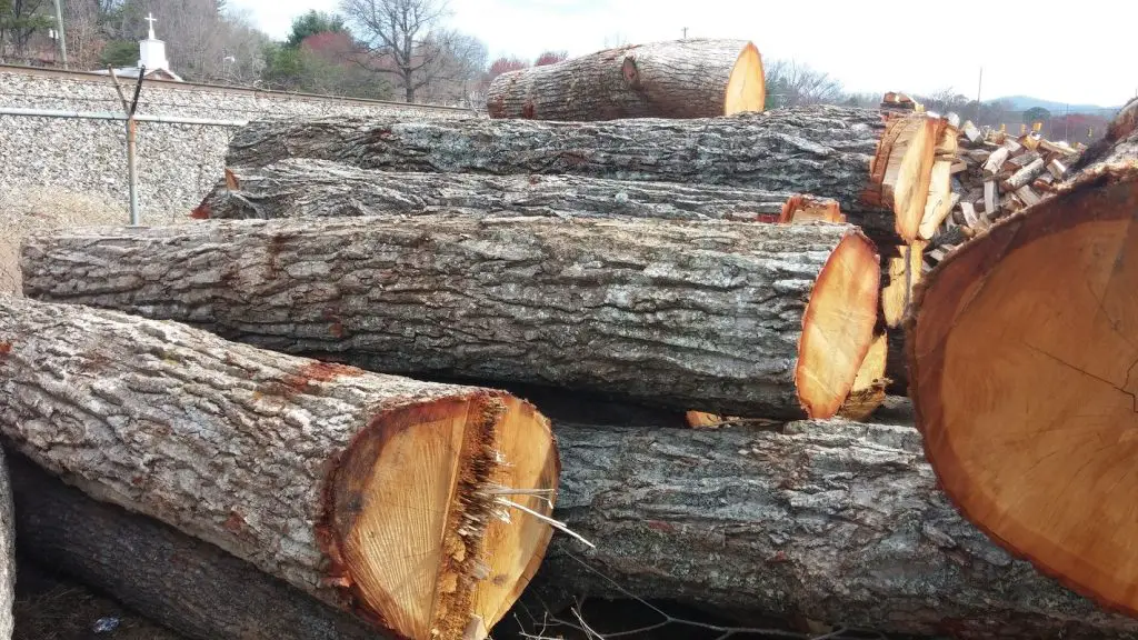 chestnut firewood