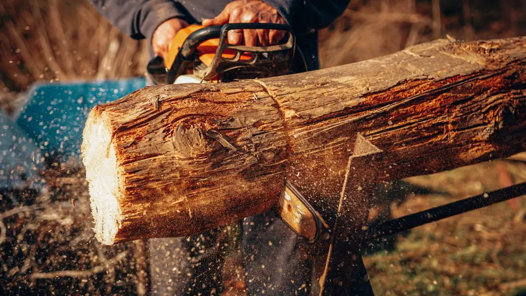 the ideal sized chainsaw for cutting logs