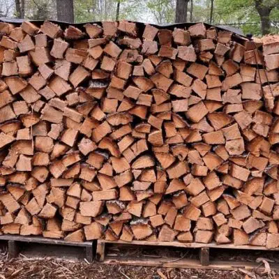 red oak firewood