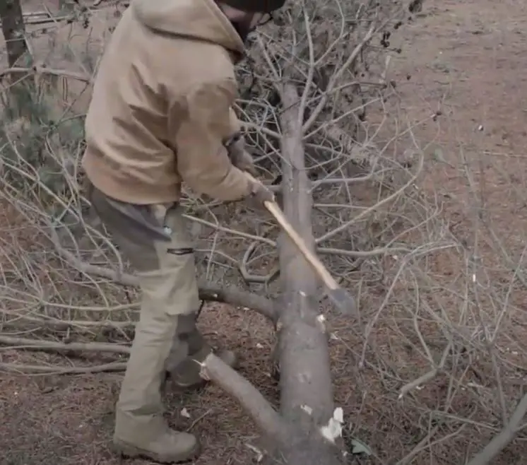 Fell a Tree in Any Direction You Want 2 Fell a Tree in Any Direction You Want