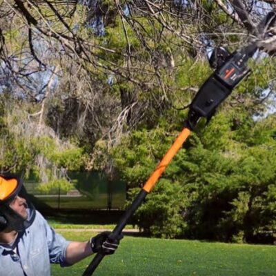 How to Use a Pole Saw: Manual, Gas, Electric 5 how to use a pole saw