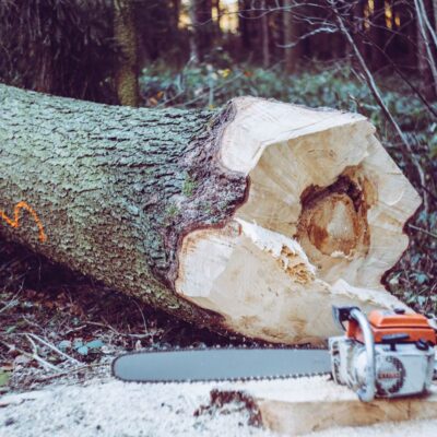 How to Start a Stihl Chainsaw in 13 Easy Steps 8 how to start a stihl chainsaw