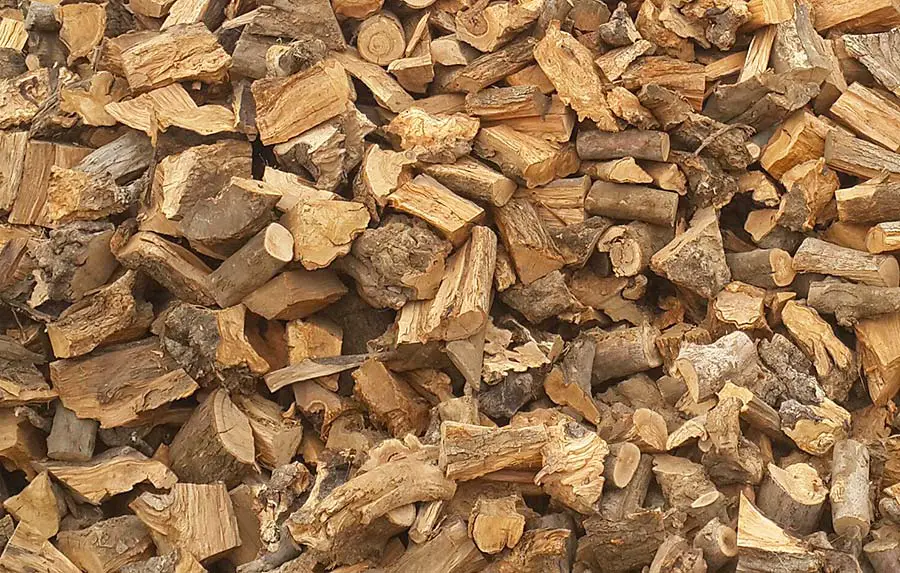 olive firewood