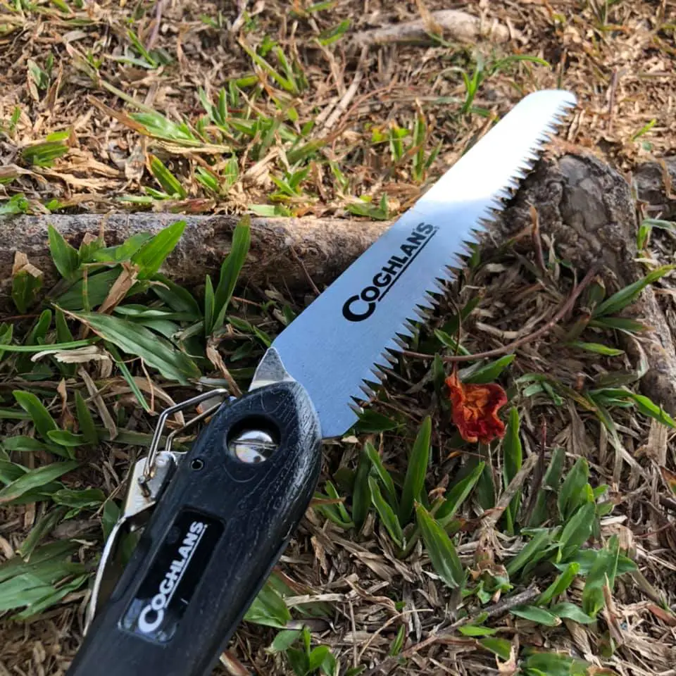 Coghlan's Sierra Folding Saw being tested cutting a branch