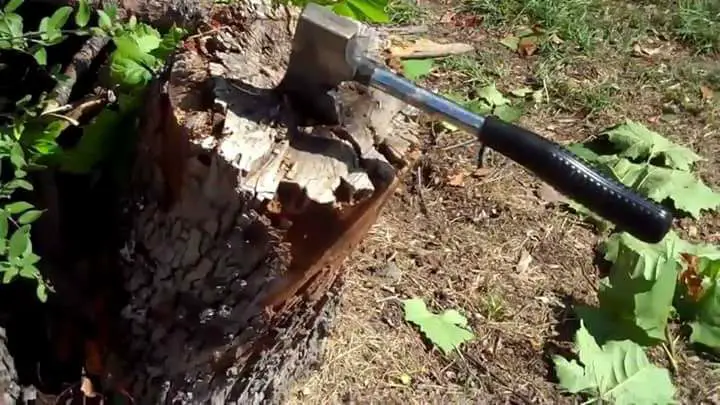 Coleman Camp Axe being tested with a wood block