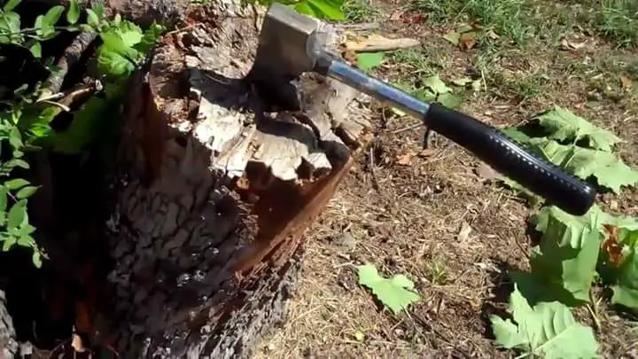 6 Best Camping Hatchets + Buying Guide 15 Coleman Camp Axe being tested with a wood block