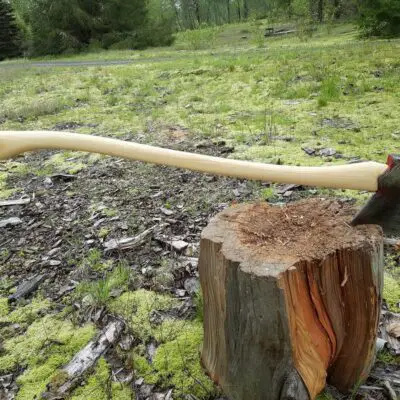 What Is a Jersey Axe? Design Features and Uses 13 jersey axe