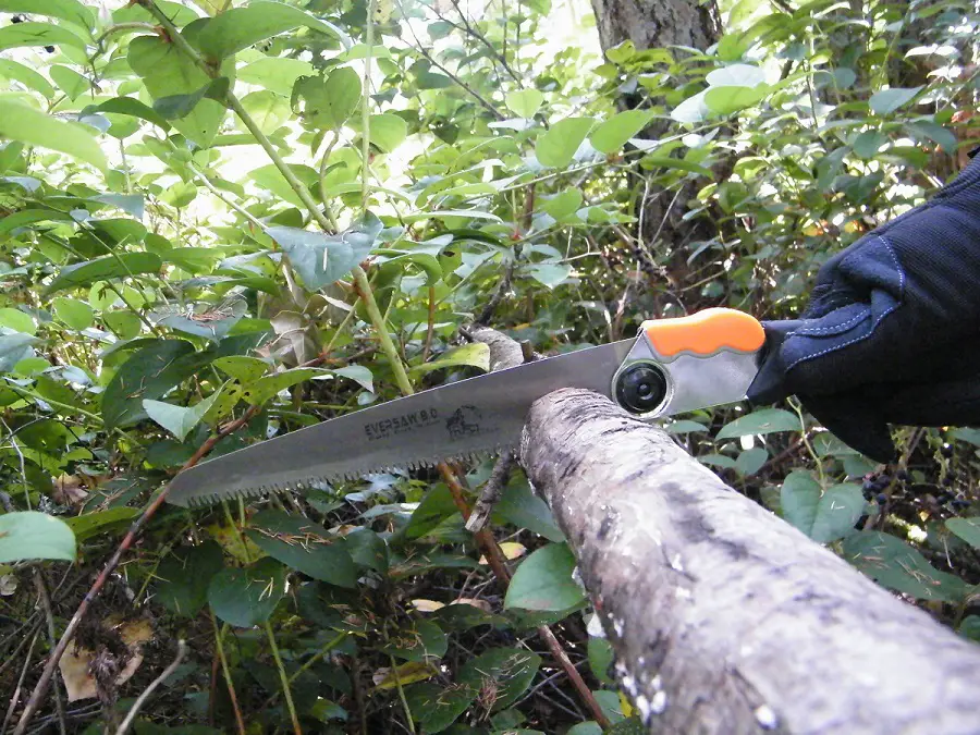 5 Best Folding Saws for Camping + Buying Guide 15 Eversaw being tested cutting a branch