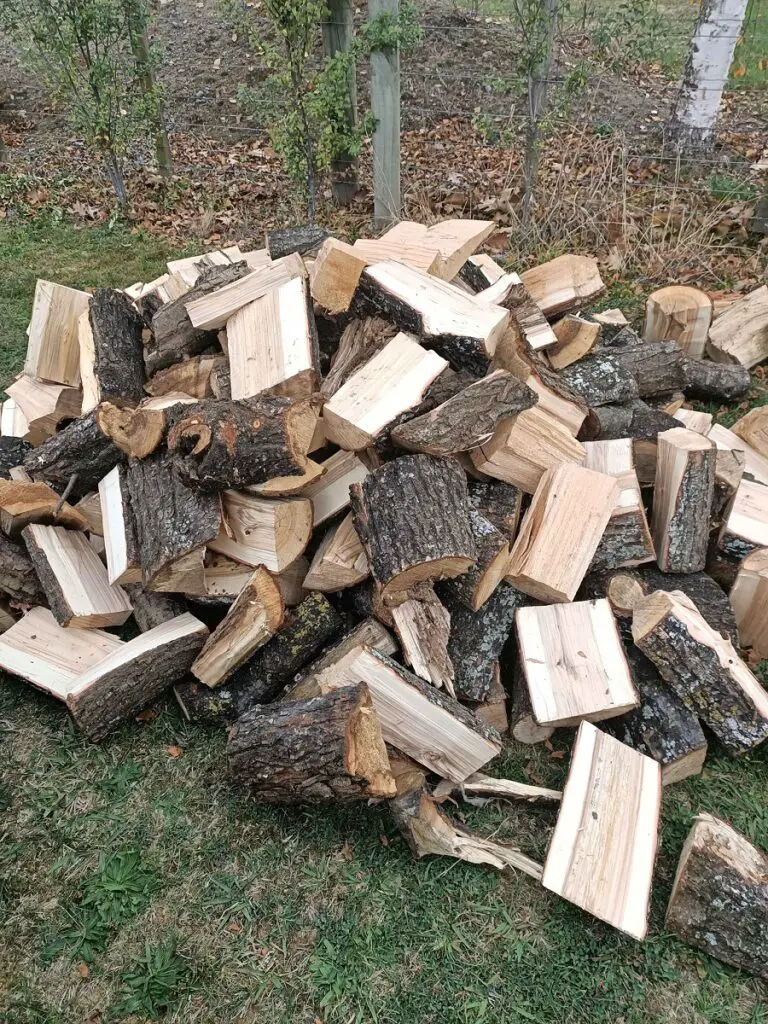 Is Willow Firewood Any Good for Burning?