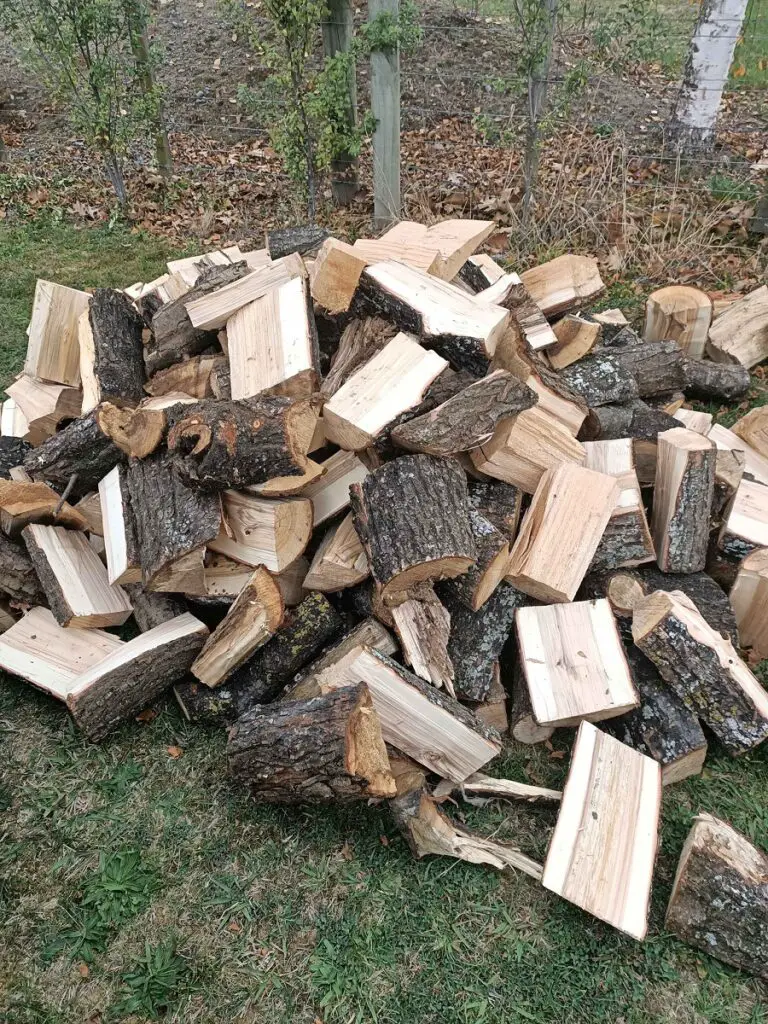 Is Willow Firewood Any Good for Burning? 1 Is Willow Firewood Any Good for Burning?