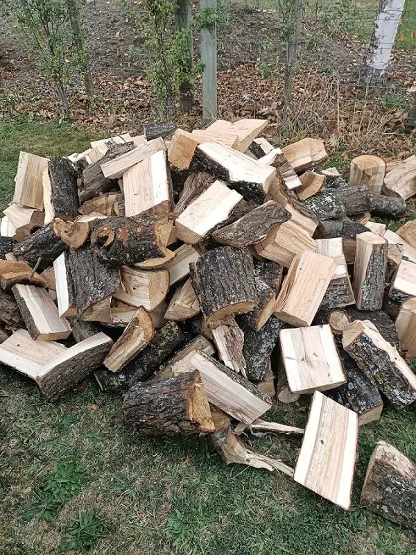 willow firewood